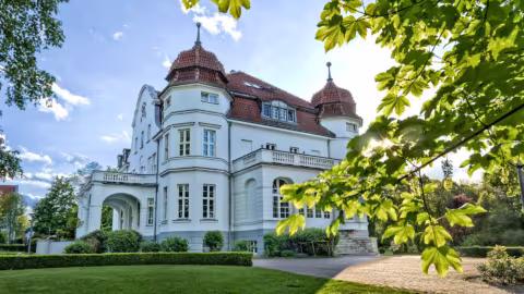 Neue Bewohner auf Schloss Torgelow?!