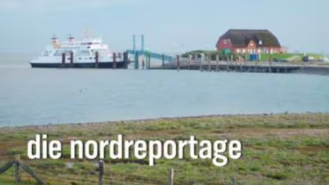 Die NDR-Nordreportage war zu Gast auf Schloss Torgelow Die NDR-Nordreportage war zu Gast auf Schloss Torgelow