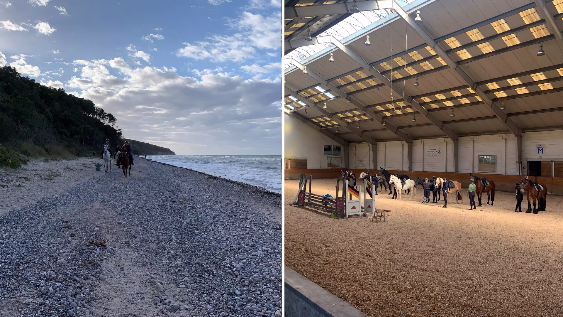 Reiten am Meer Reiten am Meer